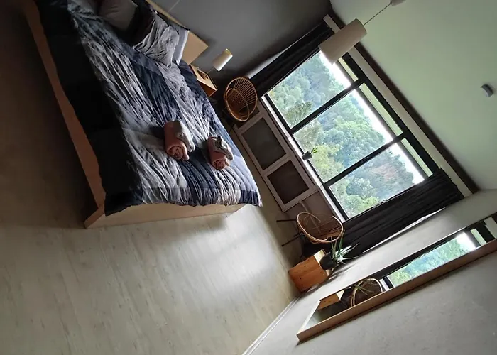 Holiday home Viveye Ferrieres